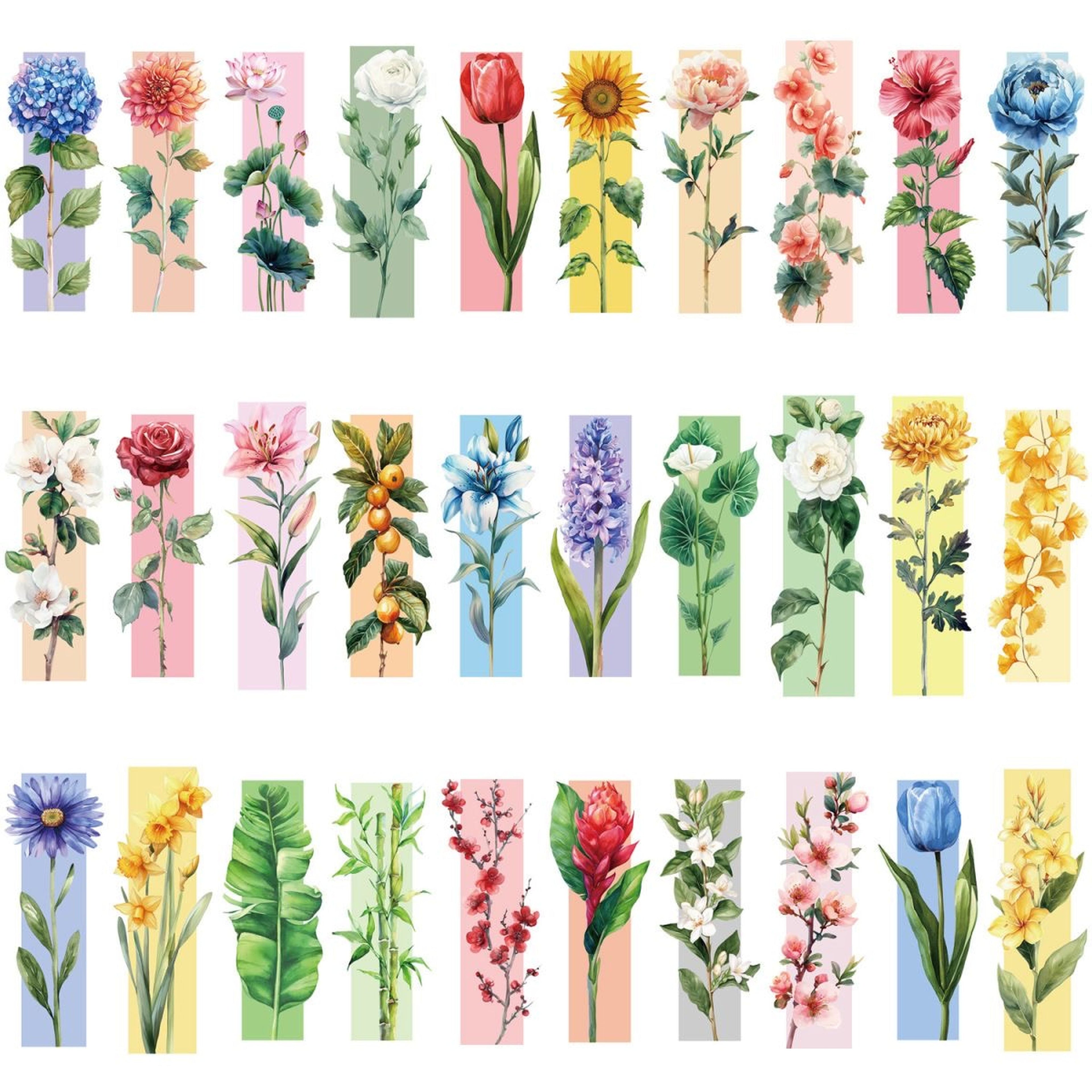 30pcs watercolour floral bookmark set laid out in rows showing all designs