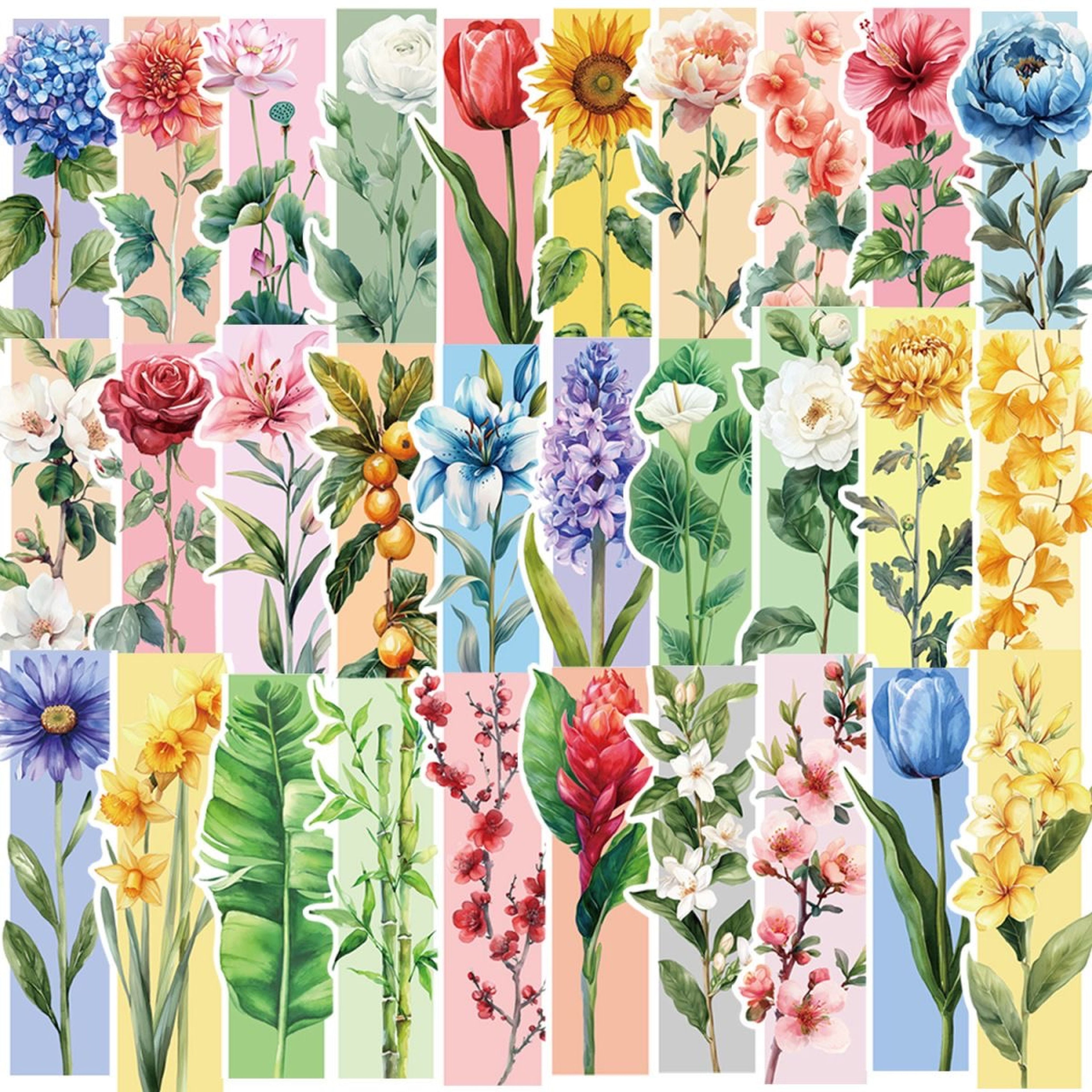 Watercolour floral bookmarks fanned out showing various botanical designs